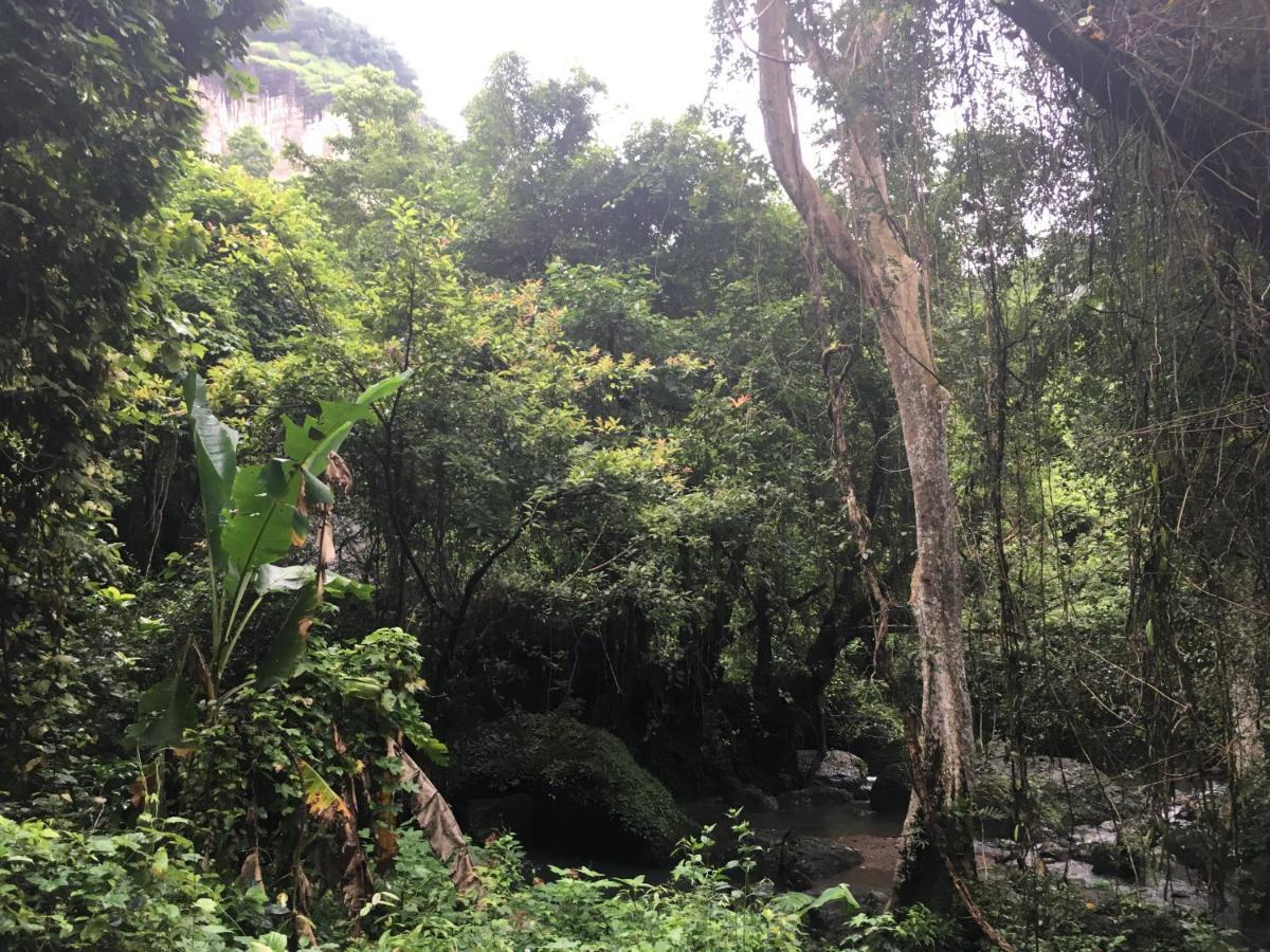 Отель Baan Suan Kru Kob Ban Ko Maphang Экстерьер фото